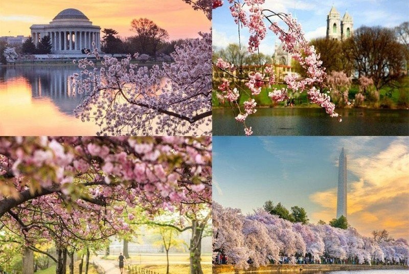 Chu du Bờ Đông nước Mỹ với những trải nghiệm khó quên