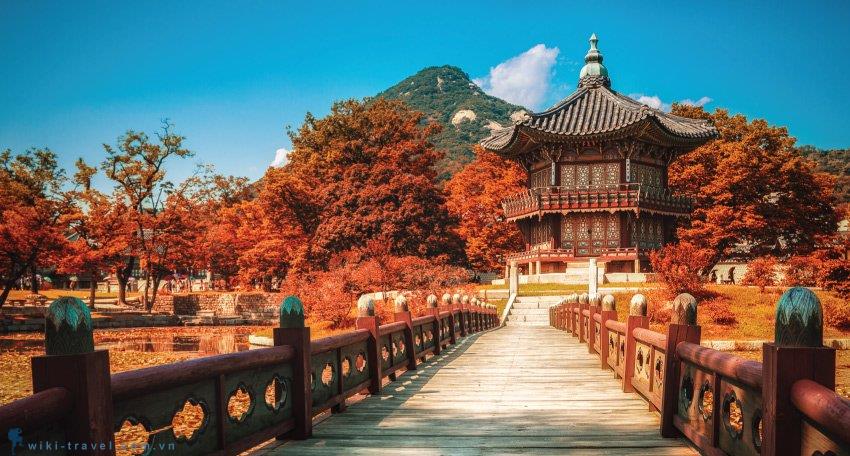 TOUR HÀN QUỐC TIẾT KIỆM HÈ THU 2025 5N4Đ
