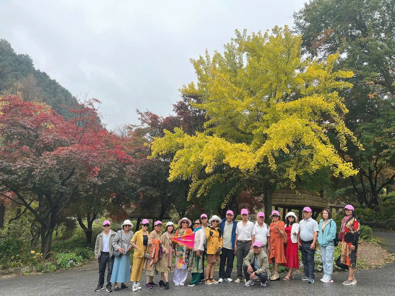 Tour Hàn Quốc Mùa Thu 2025 : Seoul - Nami - Everland - Bukchon #12990K 5N4Đ